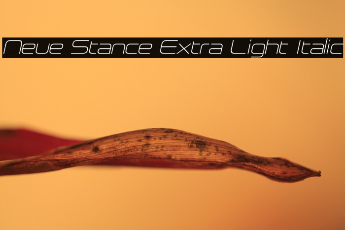 Neue Stance Extra Light Italic Example 3