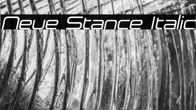 Neue Stance Italic Example 1