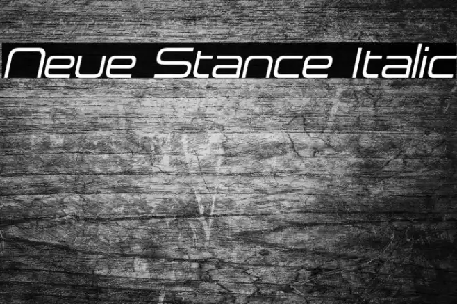 Neue Stance Italic Example 2