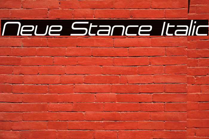 Neue Stance Italic Example 3