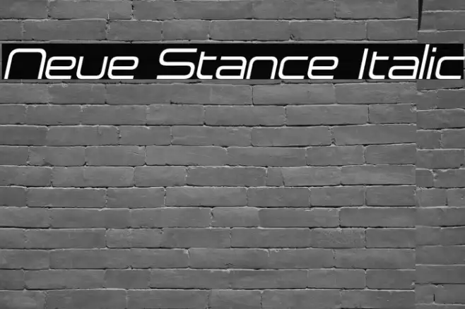 Neue Stance Italic Example 3