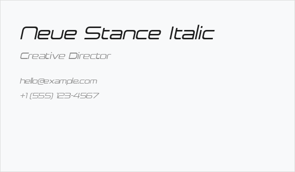 Neue Stance Italic Business Card
