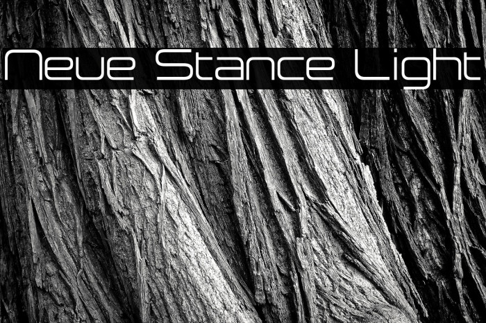 Neue Stance Light Example 3