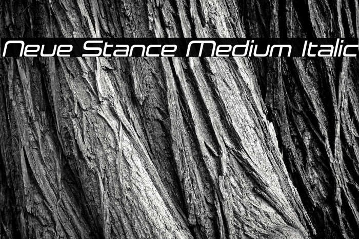 Neue Stance Medium Italic Example 1