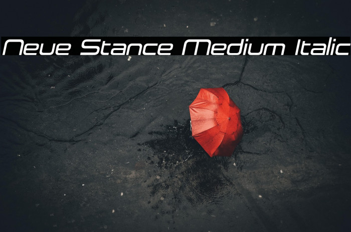 Neue Stance Medium Italic Example 3