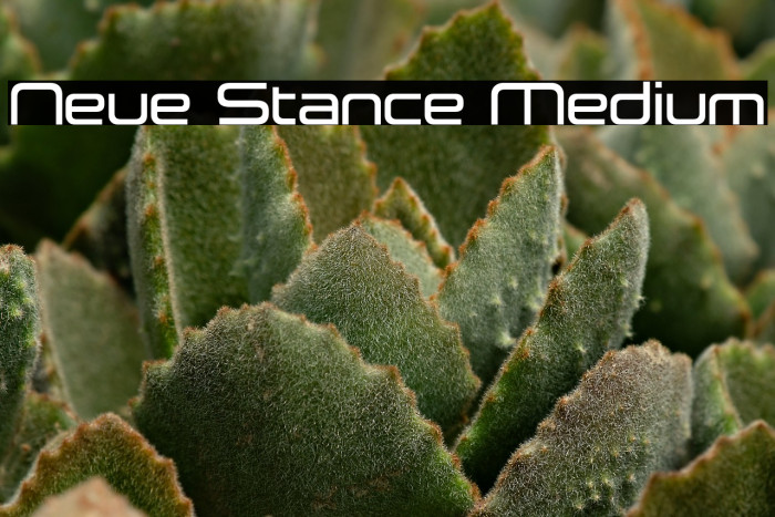 Neue Stance Medium Example 1