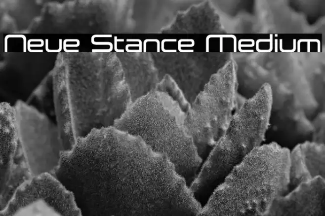 Neue Stance Medium Example 1