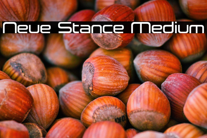 Neue Stance Medium Example 3