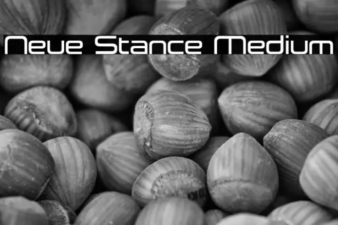 Neue Stance Medium Example 3