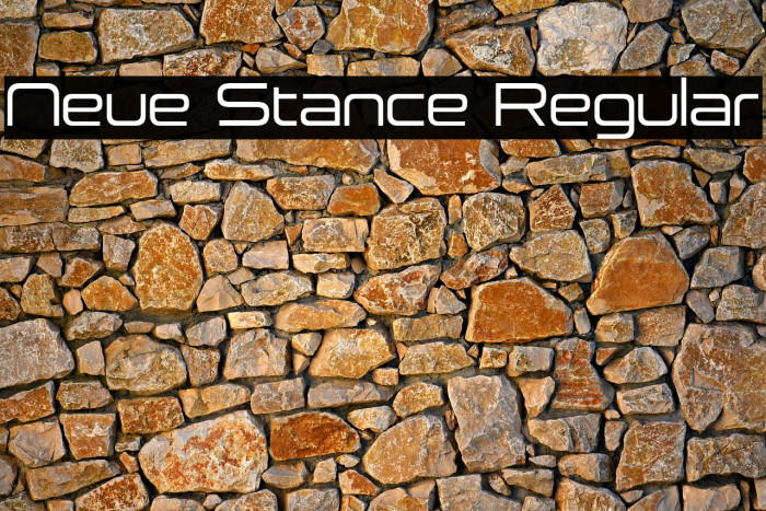 Neue Stance Regular Example 1