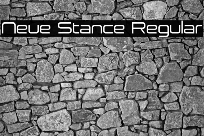 Neue Stance Regular Example 1
