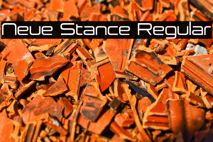 Neue Stance Regular Example 2