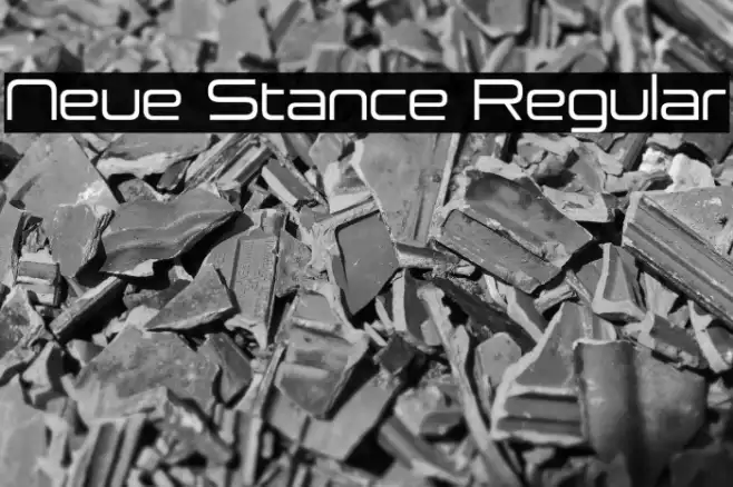 Neue Stance Regular Example 2