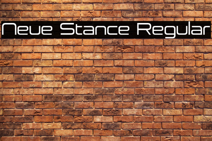 Neue Stance Regular Example 3