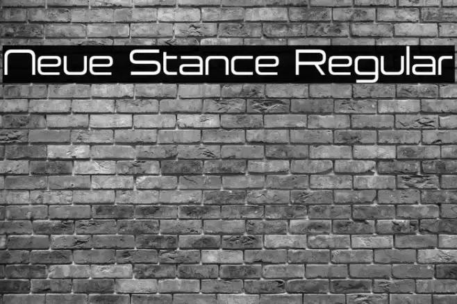 Neue Stance Regular Example 3