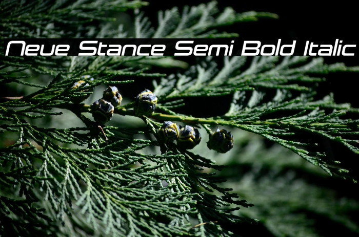 Neue Stance Semi Bold Italic Example 2