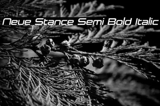 Neue Stance Semi Bold Italic Example 2