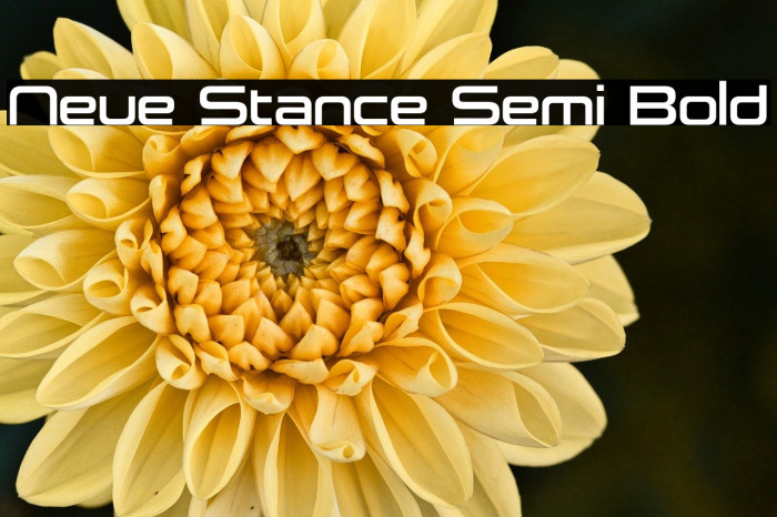 Neue Stance Semi Bold Example 2