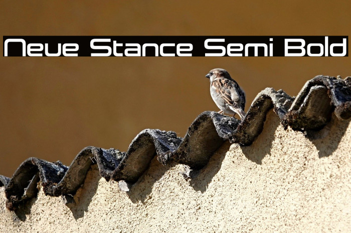 Neue Stance Semi Bold Example 3