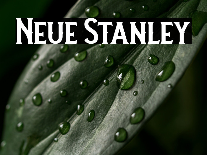 Neue Stanley Example 1