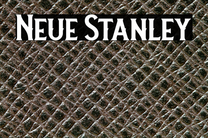 Neue Stanley Example 3