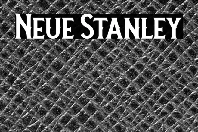 Neue Stanley Example 3