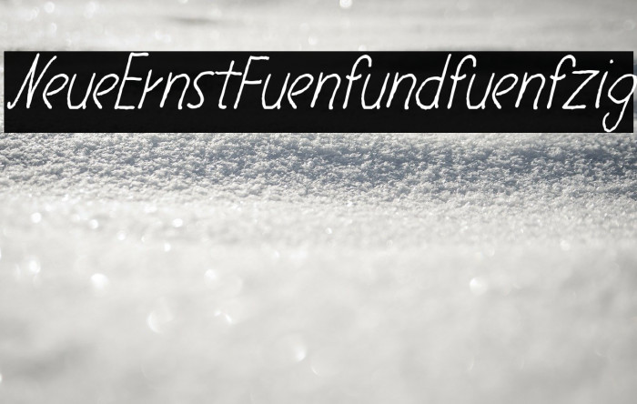 NeueErnstFuenfundfuenfzig Example 1
