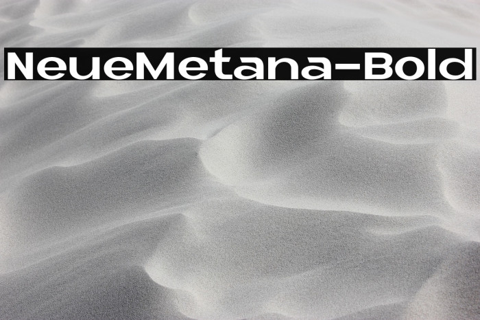 NeueMetana-Bold Example 1