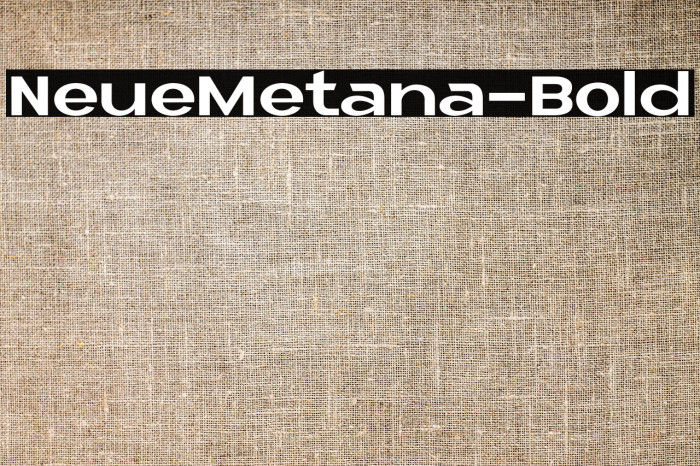 NeueMetana-Bold Example 2
