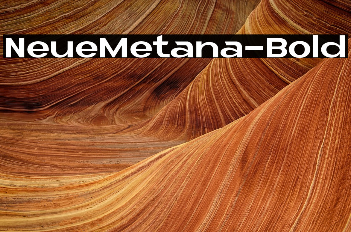 NeueMetana-Bold Example 3