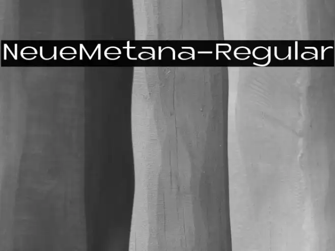 NeueMetana-Regular Example 1