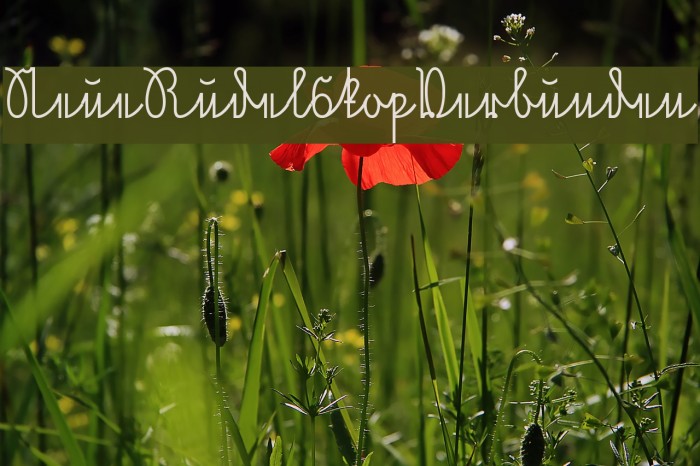 NeueRudelskopVerbunden Font examples