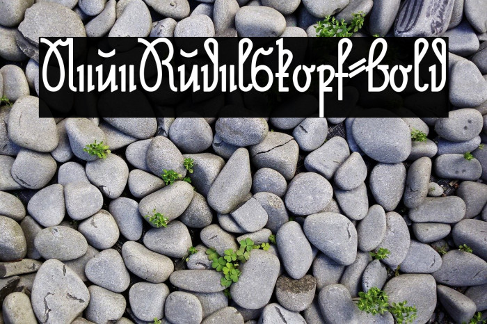 NeueRudelskopf-Bold Font examples