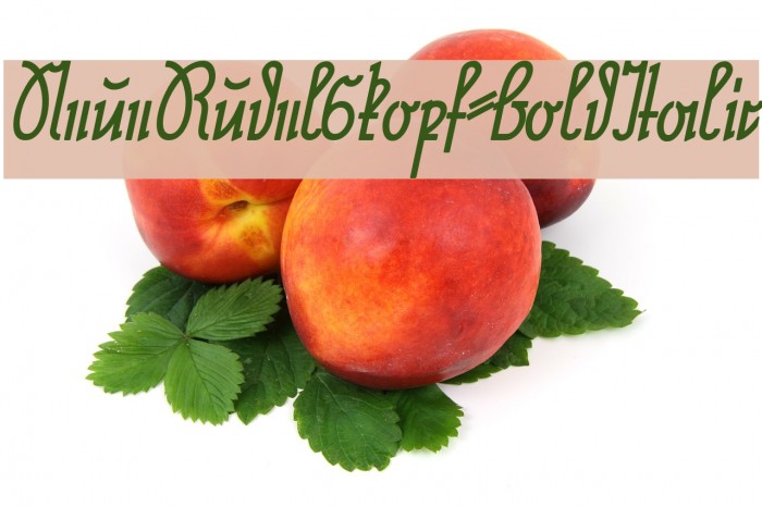 NeueRudelskopf-BoldItalic Example 1