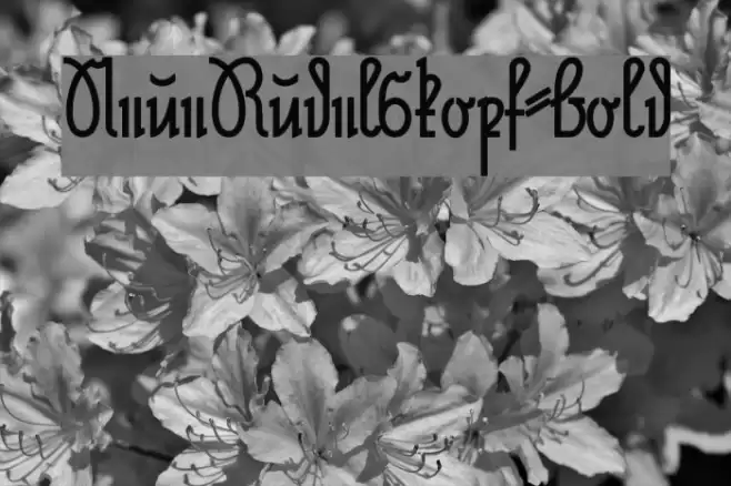 NeueRudelskopf-Bold Font examples