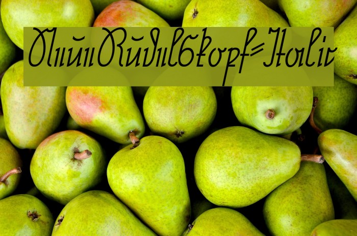 NeueRudelskopf-Italic Font examples