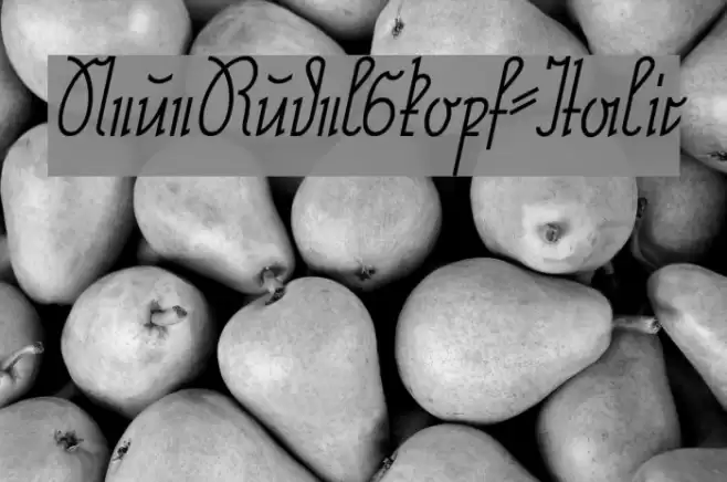 NeueRudelskopf-Italic Font examples