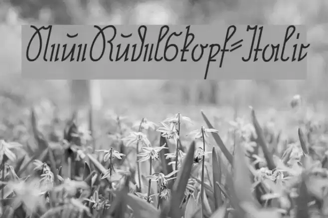 NeueRudelskopf-Italic Font examples