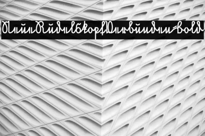 NeueRudelskopfVerbunden-Bold Font examples
