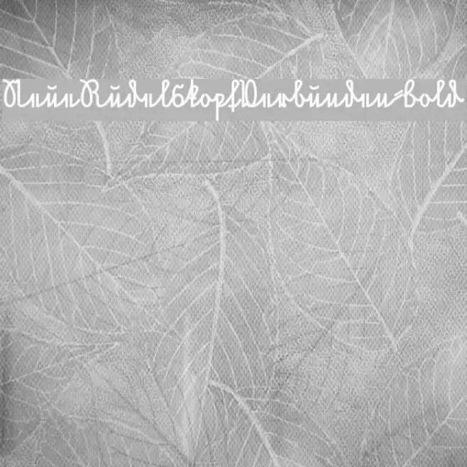 NeueRudelskopfVerbunden-Bold Font examples
