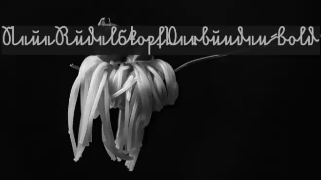 NeueRudelskopfVerbunden-Bold Font examples