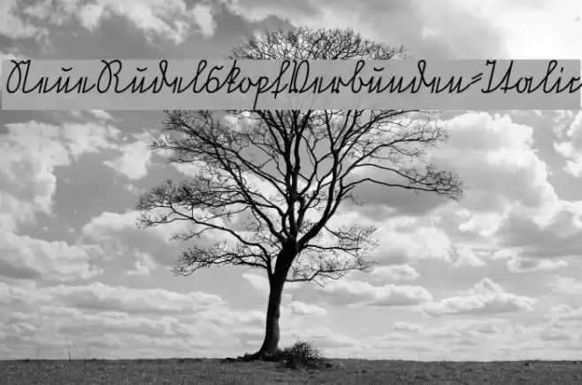 NeueRudelskopfVerbunden-Italic Font examples
