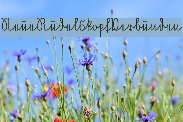 NeueRudelskopfVerbunden Example 1