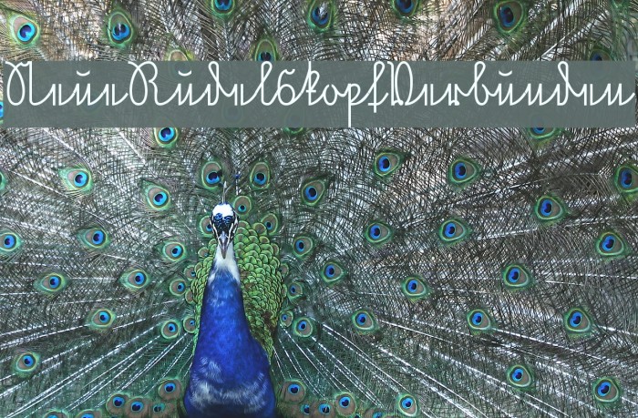 NeueRudelskopfVerbunden Example 2