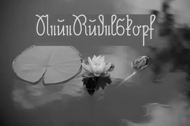 NeueRudelskopf Font examples