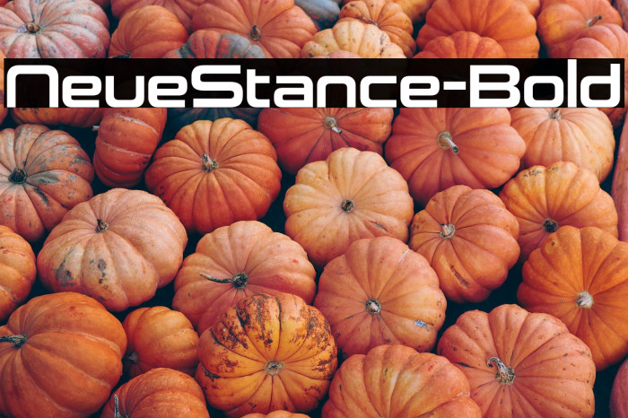 NeueStance-Bold Example 1