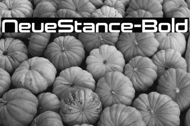 NeueStance-Bold Example 1
