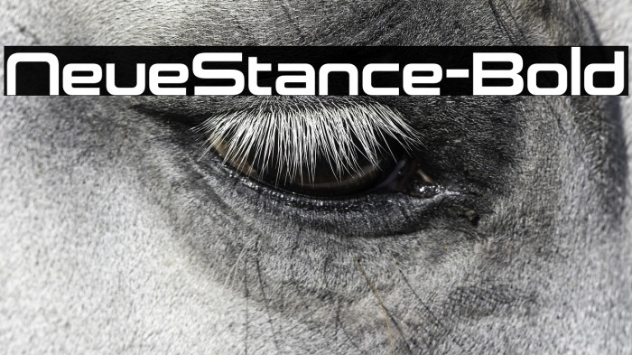 NeueStance-Bold Example 2