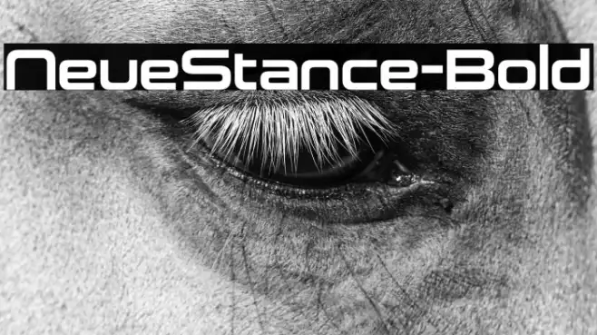 NeueStance-Bold Example 2