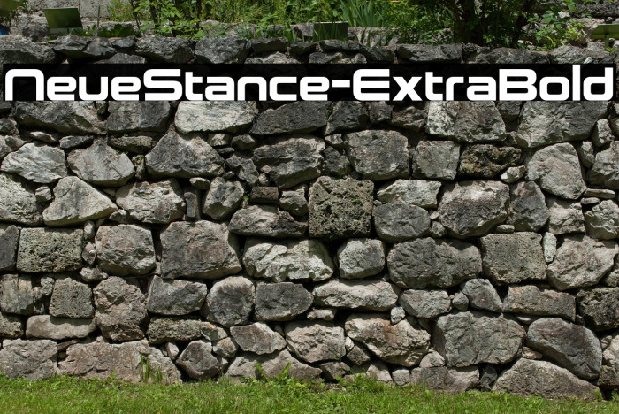 NeueStance-ExtraBold Example 1